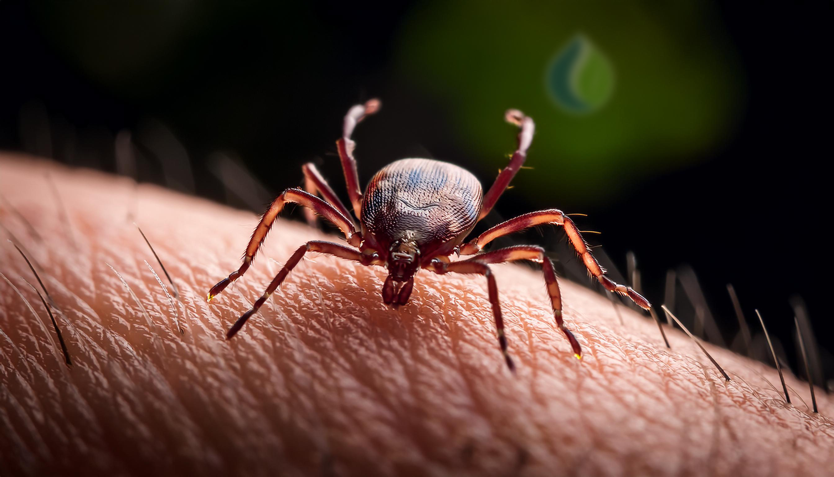 Parasieten en hun Impact op Biologische Systemen